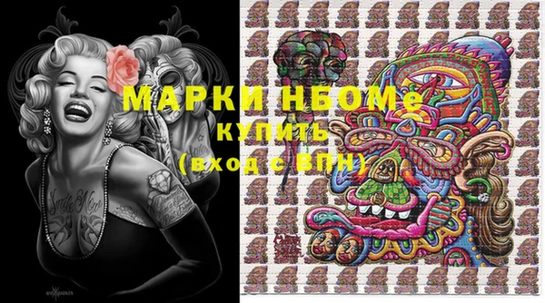 дмт Няндома
