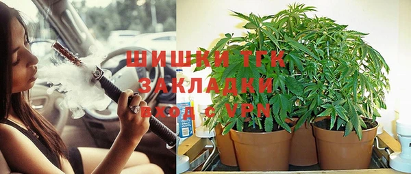 дмт Няндома