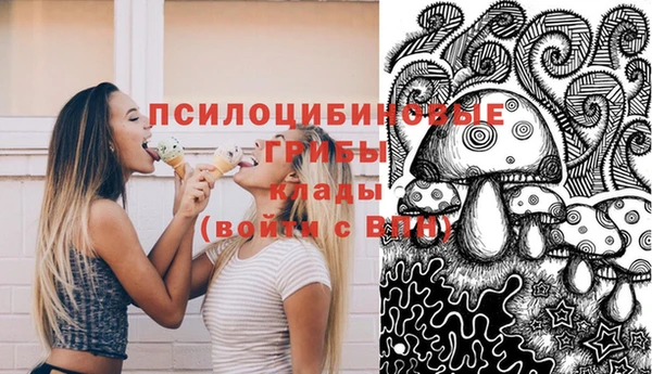 дмт Няндома