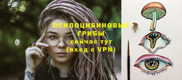 трава Нязепетровск
