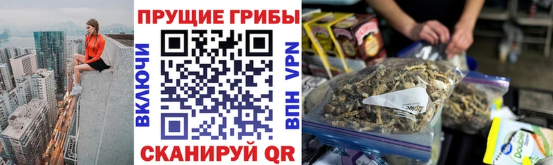 Псилоцибиновые грибы Psilocybine cubensis  мега как зайти  Псков 